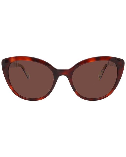 Kate Spade Brown Amberlee/S 55Mm Sunglasses
