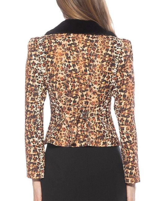 Alexia Admor Brown Sabrina Jacket