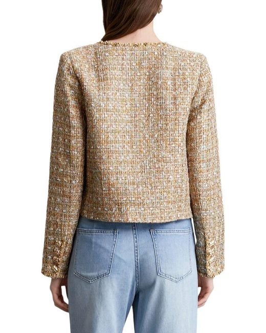 Kaimilan Blue Jacket