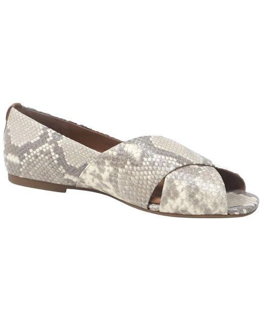 Gentle Souls Gray Whoebe Suede Flat
