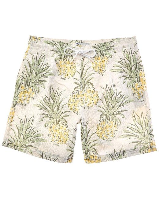 Trunks Surf & Swim Metallic Sano Swim Short for men