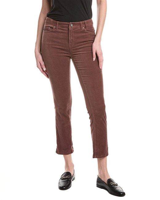 NIC+ZOE Red Daytrip Straight Velvet Pant