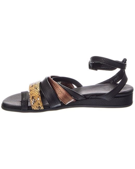 Arche Blue Pylam Leather Sandal