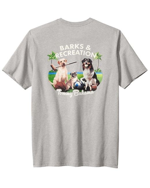 Tommy Bahama Gray Barks And Recreation T-Shirt for men