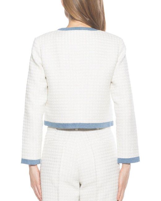 Alexia Admor Blue Rose Tweed Jacket