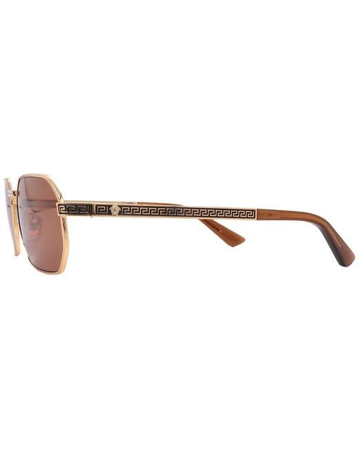Versace Brown 54Mm Sunglasses for men