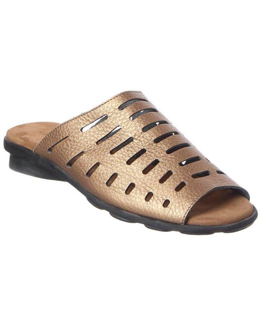 Arche Brown Denymh Leather Flat