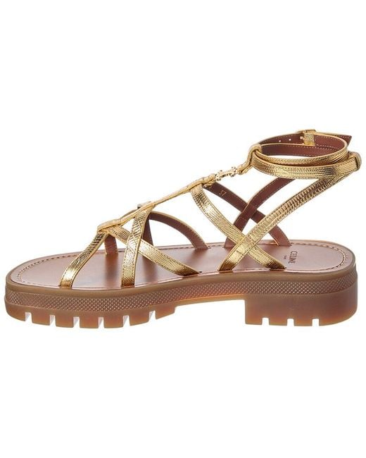 Céline Brown Clea Tejus Leather Sandal