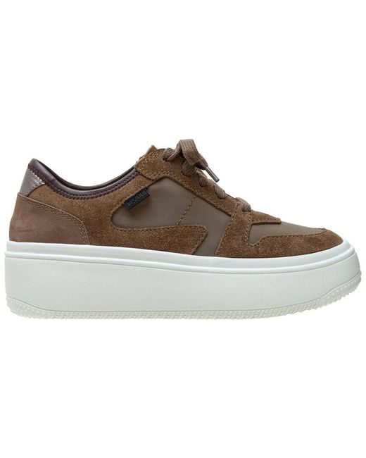 Linea Paolo Brown Gains-L Suede Sneaker