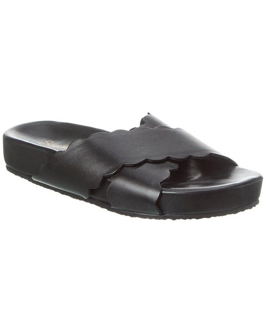 Seychelles Black Odie Leather Sandal