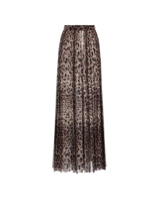 Dolce & Gabbana Brown Leopard-Print Chiffon Culottes