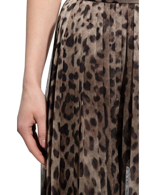 Dolce & Gabbana Brown Leopard-Print Chiffon Culottes