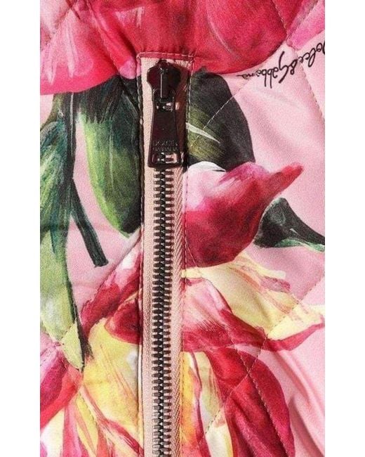 Dolce & Gabbana Pink Rose Print Bomber Jacket