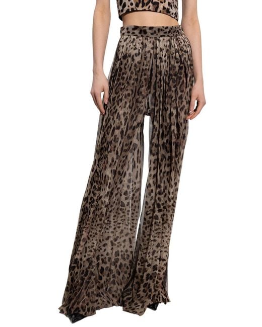 Dolce & Gabbana Brown Leopard-Print Chiffon Culottes