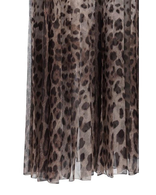 Dolce & Gabbana Brown Leopard-Print Chiffon Culottes