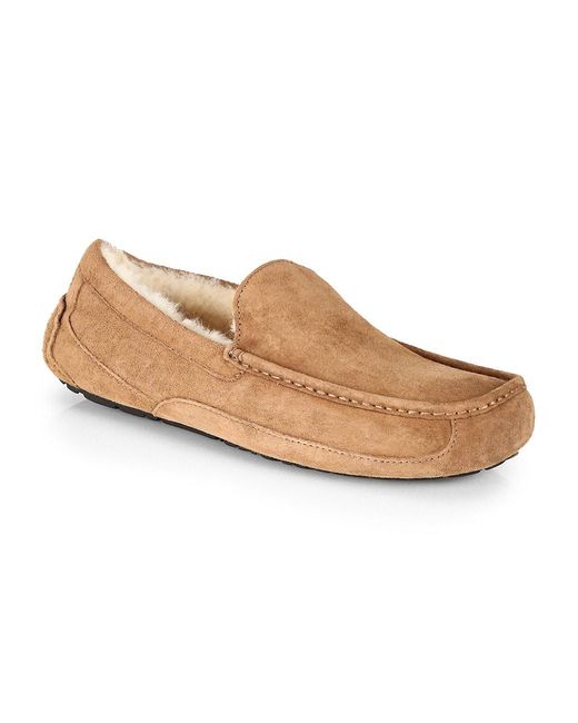 ascot uggpure