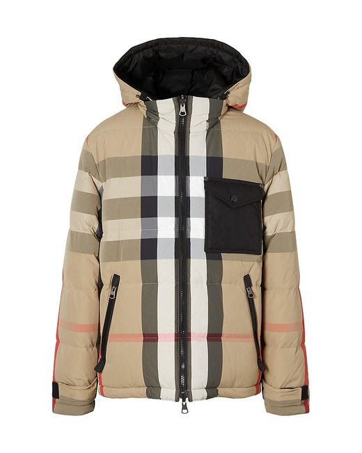 burberry roma jacket