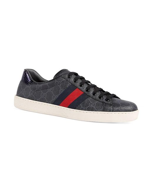 gucci new ace webbed low top sneaker