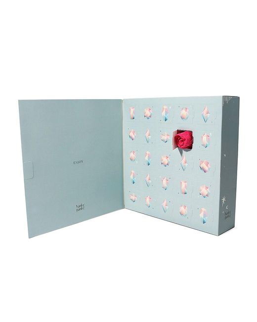 Hanky Panky 25piece Lowrise Lace Thong Advent Calendar in Blue Lyst