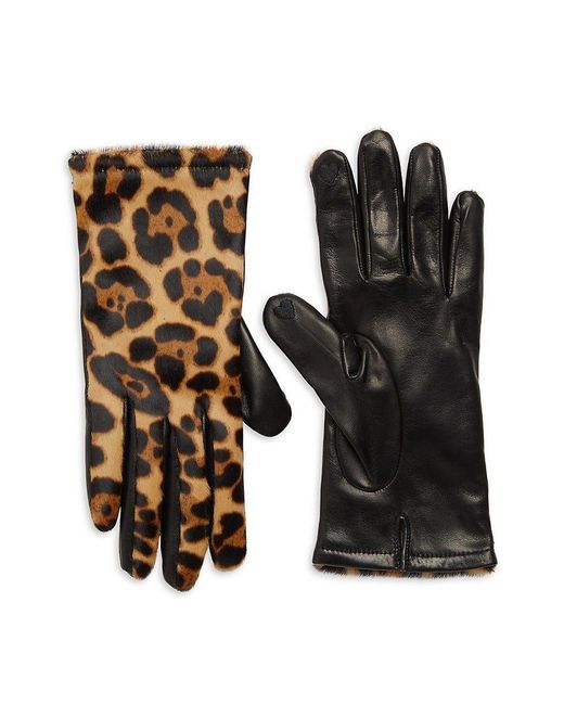 Portolano Leopard Print Calf Hair Tech Gloves in Black Lyst