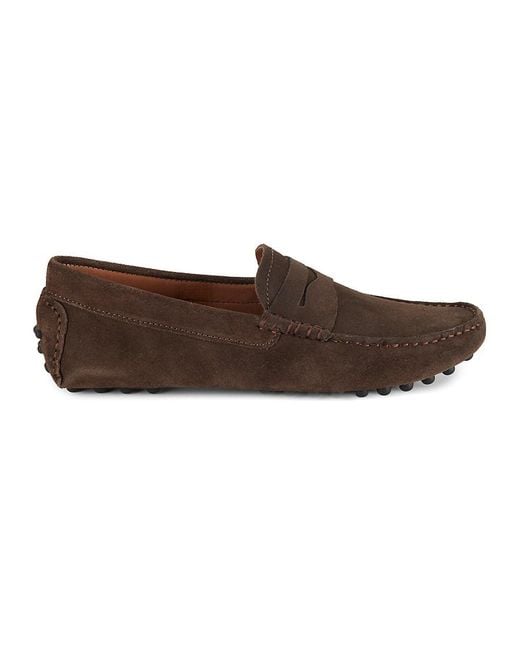 Massimo Matteo Brown Suede Driving Penny Loafers for men