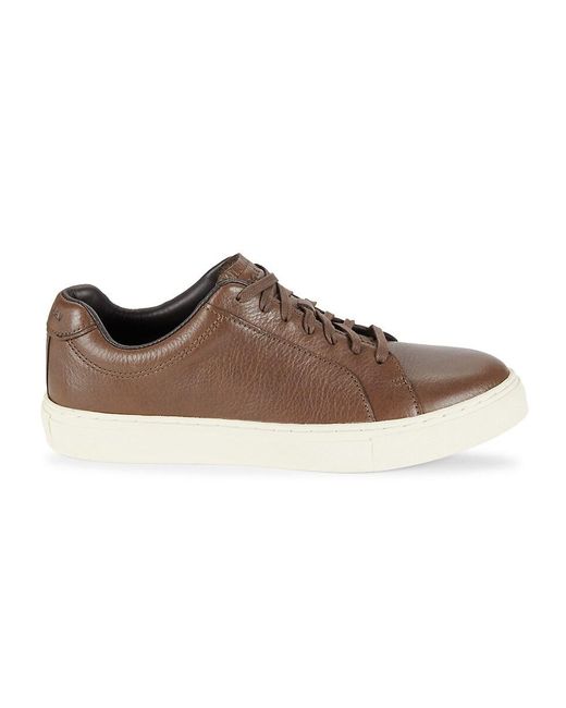 Cole Haan Brown Low-Top Leather Sneakers for men