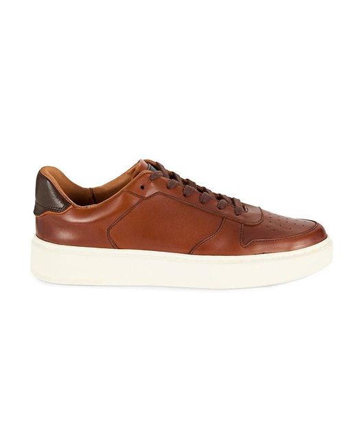 Allen Edmonds Brown Owen Low Top Leather Sneakers for men