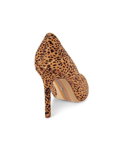 Sam Edelman Hazel Leopard Print Dyed Calf Hair Pumps in Brown