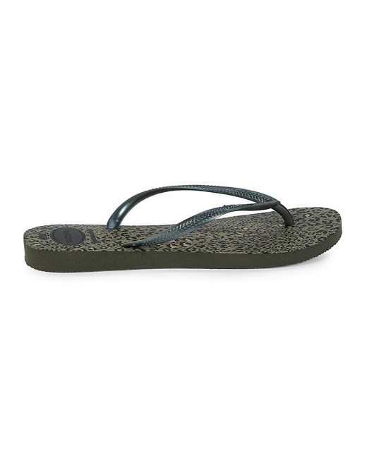 havaianas olive
