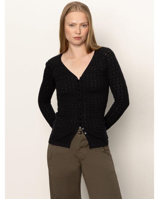 Sanctuary Fitted Raglan Cardi Black