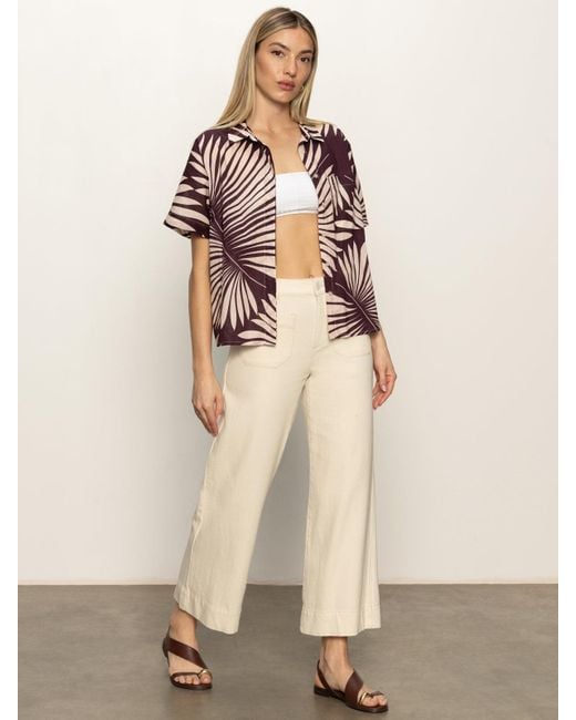 Sanctuary Natural Sanc Souvenir Shirt Mesa Palm