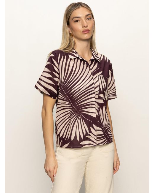 Sanctuary Natural Sanc Souvenir Shirt Mesa Palm