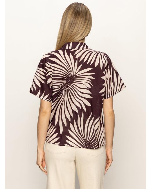 Sanctuary Natural Sanc Souvenir Shirt Mesa Palm
