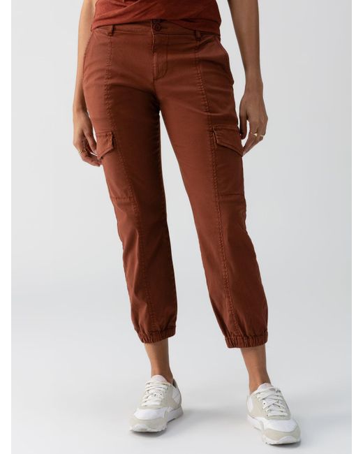 Basile Pant - Accenda Clay