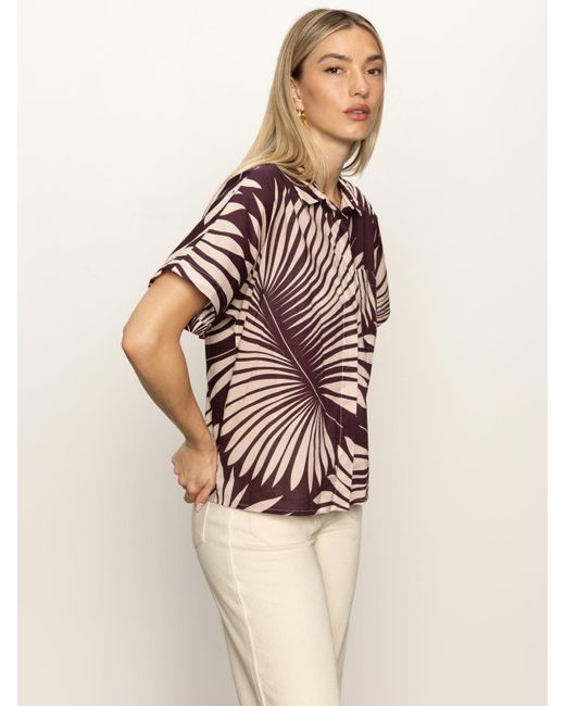 Sanctuary Natural Sanc Souvenir Shirt Mesa Palm