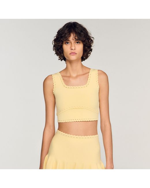 Sandro Metallic Knit Crop Top