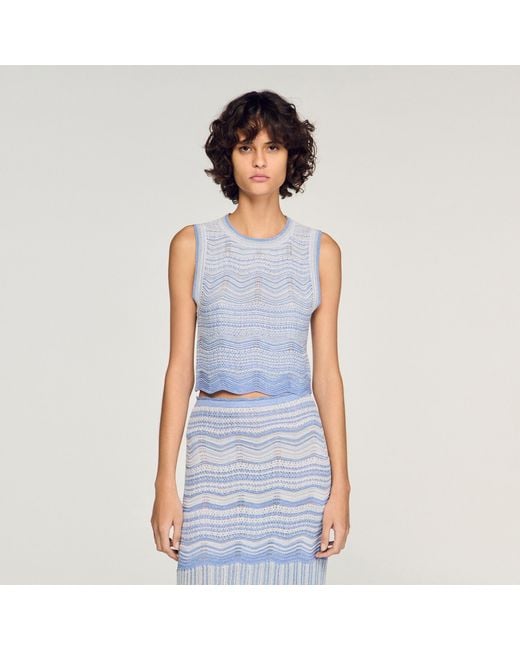 Sandro Blue Cropped Decorative Knit Top