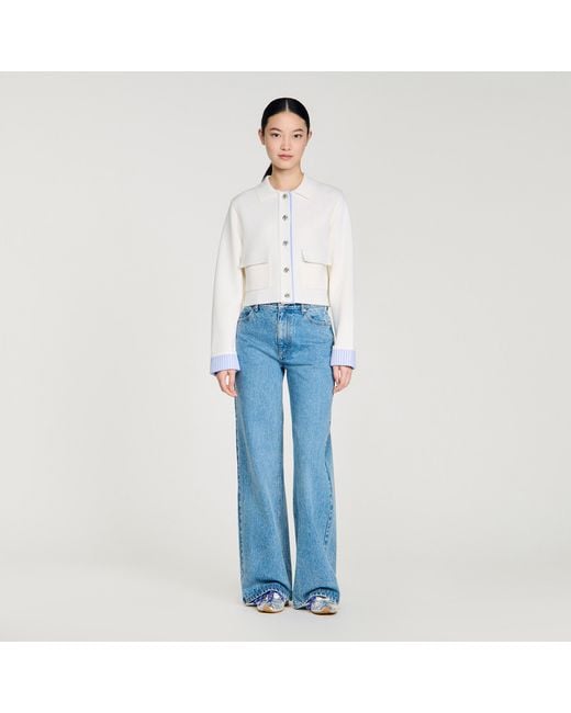 Sandro Blue Wool Cardigan With A Polo Collar