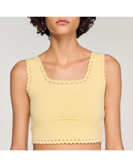 Sandro Metallic Knit Crop Top