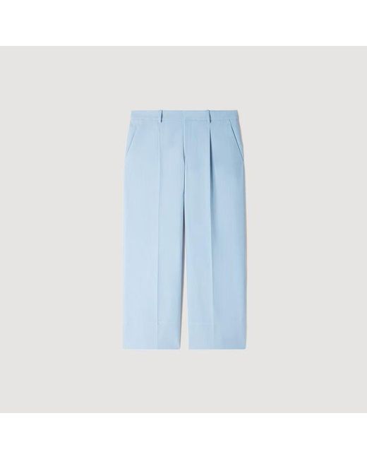 Sandro Blue Pleated Wide-Leg Trousers for men