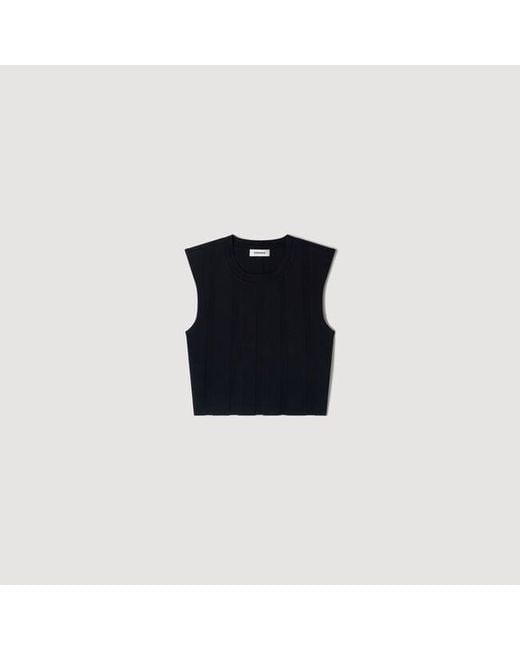 Sandro Blue Cropped Ribbed Knit Top