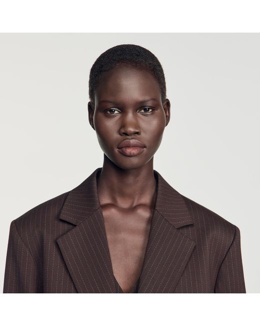 Sandro Blue Striped Suit Jacket