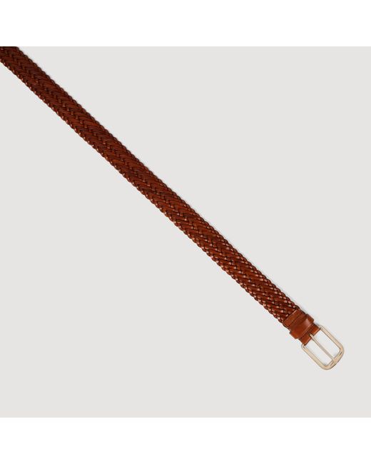 Sandro Brown Braided Leather Belt for men