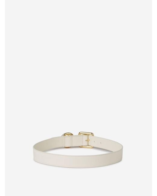 Jacquemus Natural Square Circle Belt