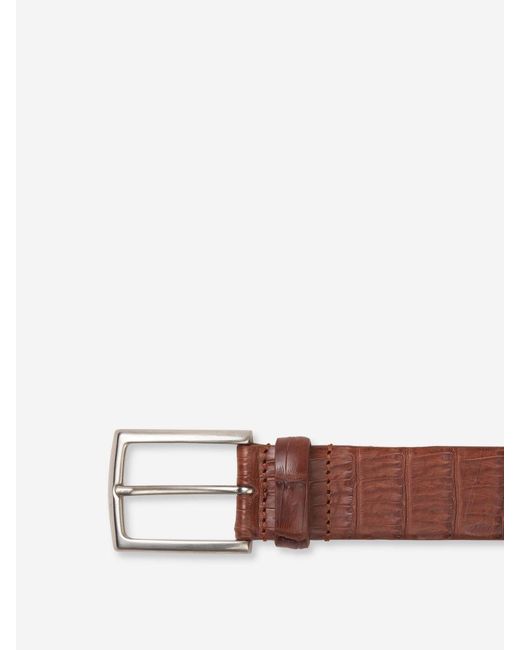 Santa Eulalia Brown Croco Belt for men