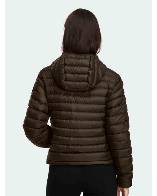 Canada Goose Brown Aethera Hoodie Tonal Disc