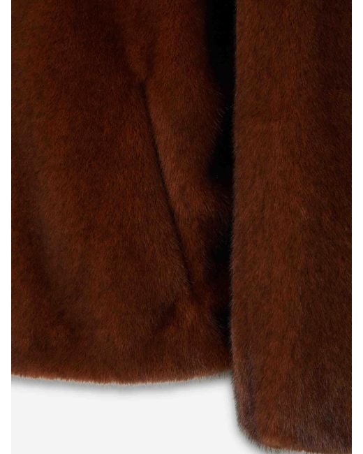 Chaqueta Capucha Pelo Herno de color Brown