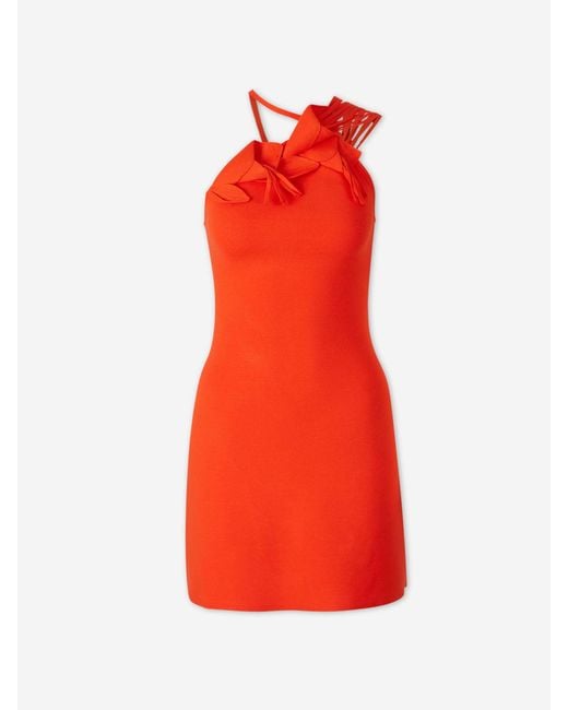 Cult Gaia Orange Camelia Knit Dress