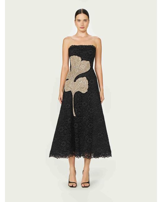Costarellos Black Midi Dress Hallis