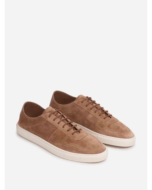 Common Projects Brown Sneakers Bball Slim for men
